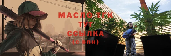 амф Инсар