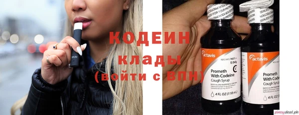 стаф Чекалин