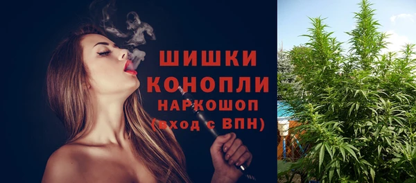 твердый Иннополис