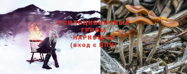 твердый Иннополис