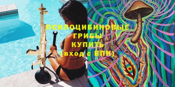 твердый Иннополис