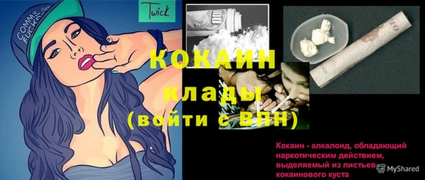 твердый Иннополис